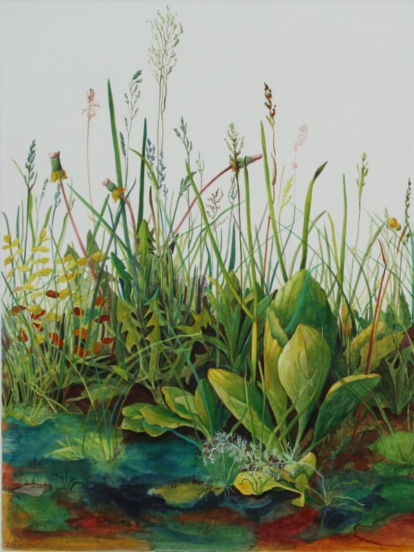 Homage to Durer