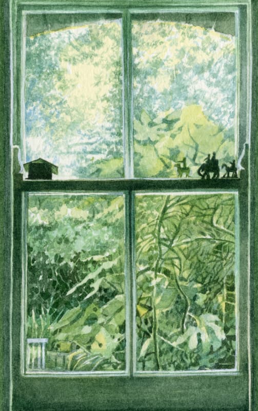 Kitchen Window