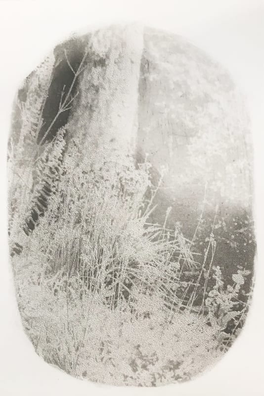Wild Garden 1