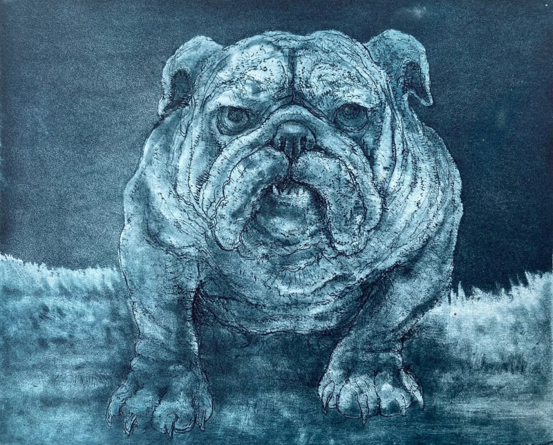 Bulldog