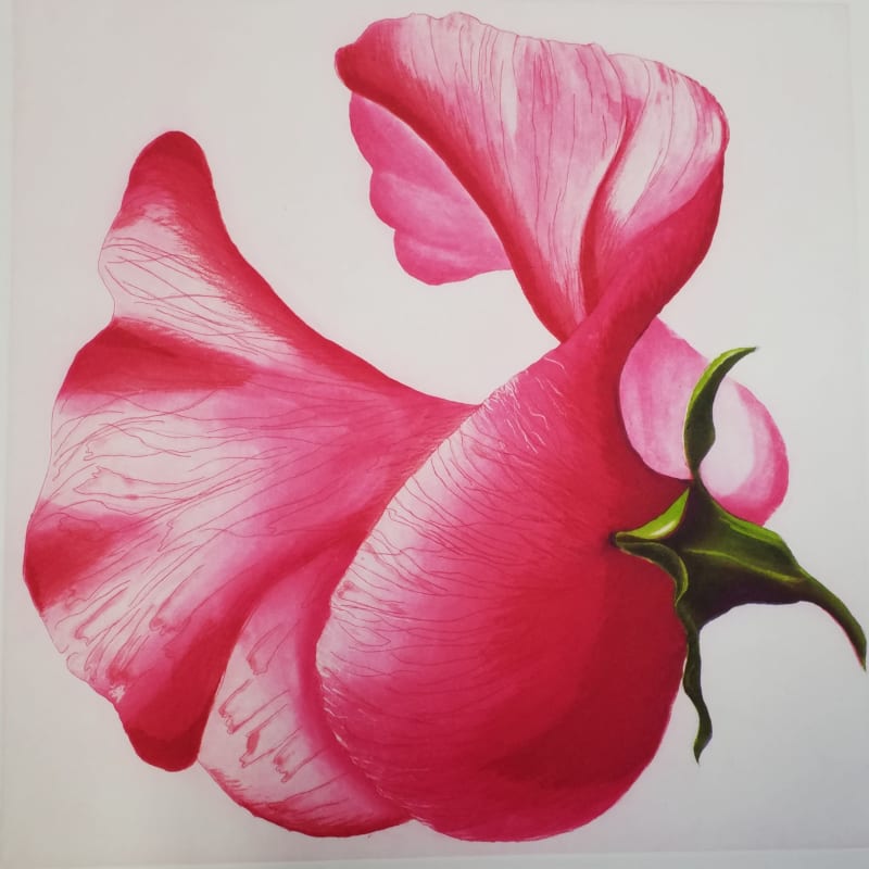 Petal Sweep