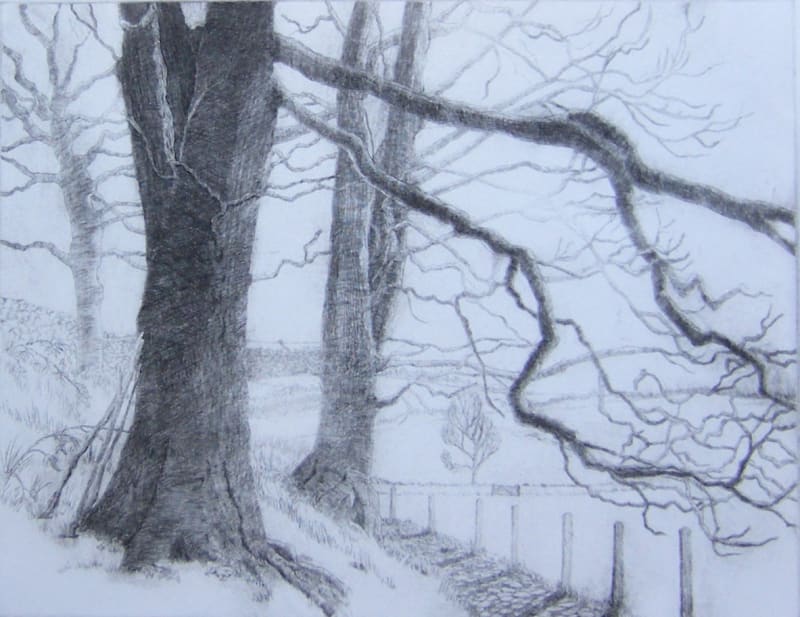 Winter Trees