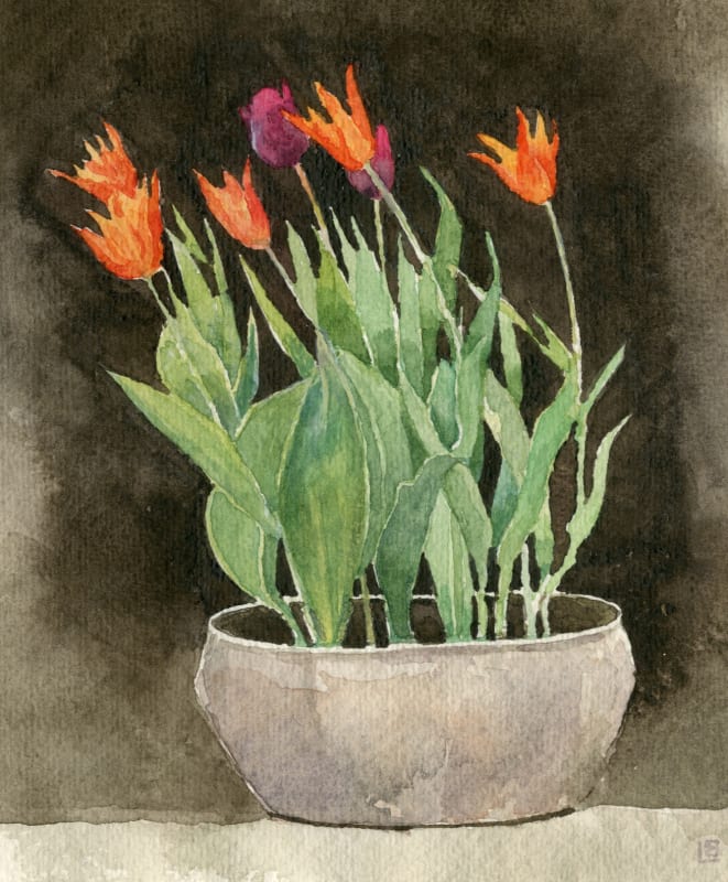 Tulips on the table