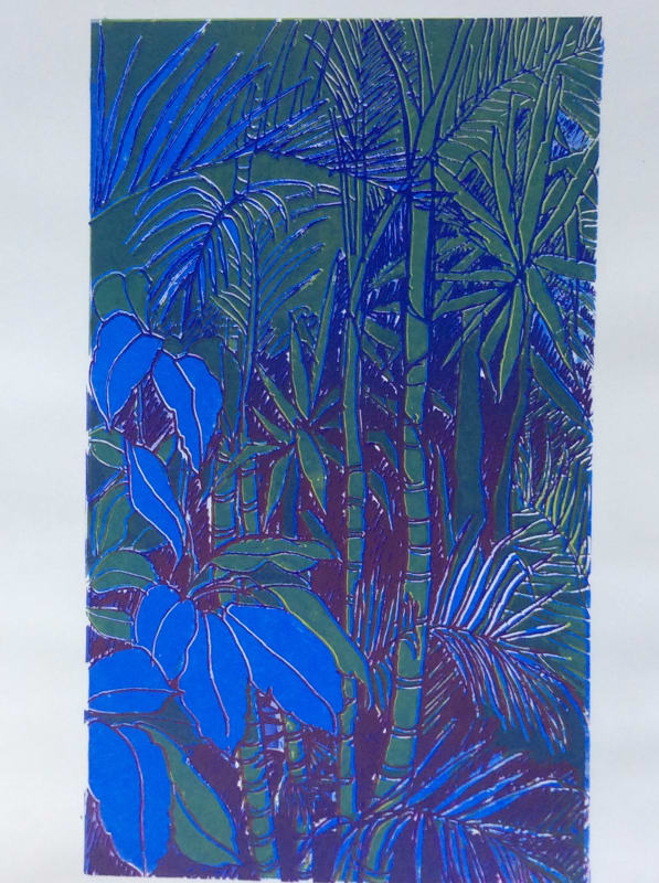 Rainforest: Night