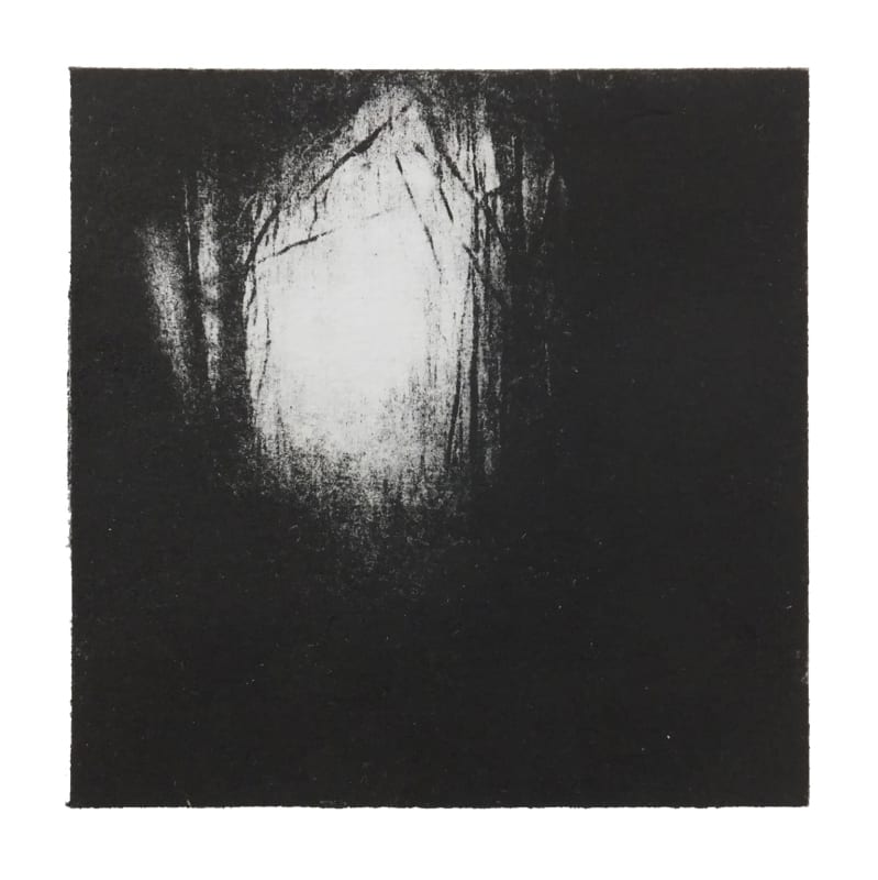 Winter Trees No.1