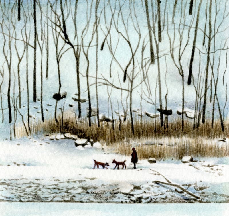 Walking in the Silence of the Snow