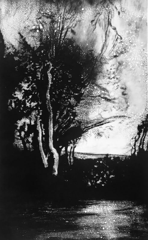 December Light, Master's Garden, Marlborough, Wiltshire