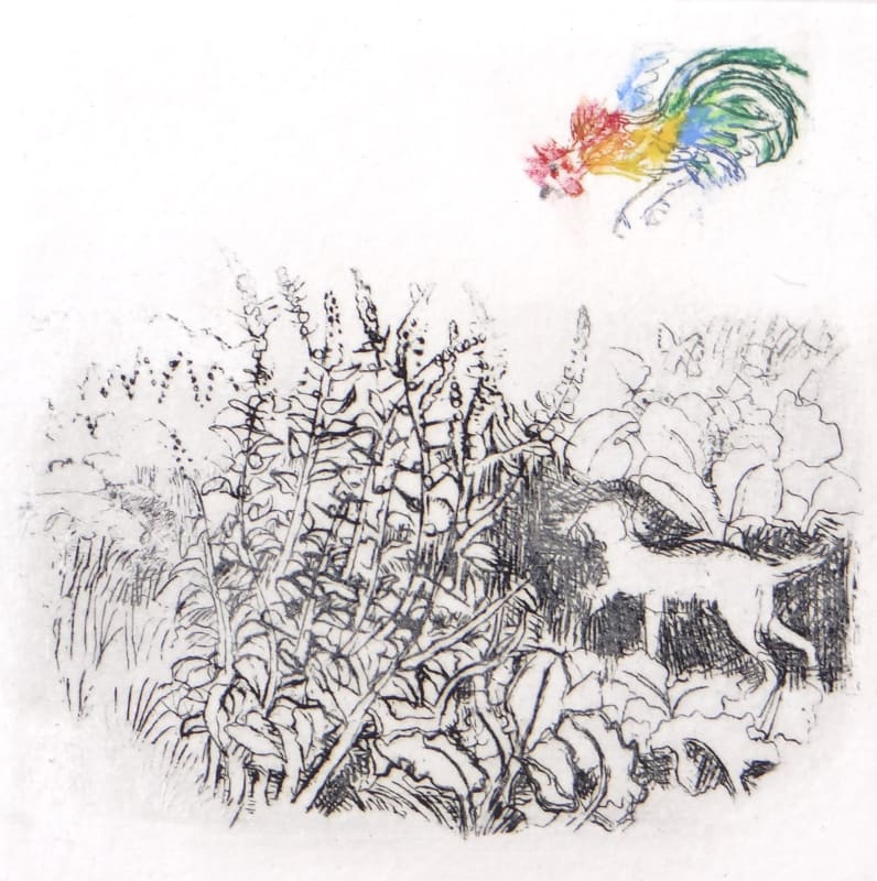 Wild Cockerel