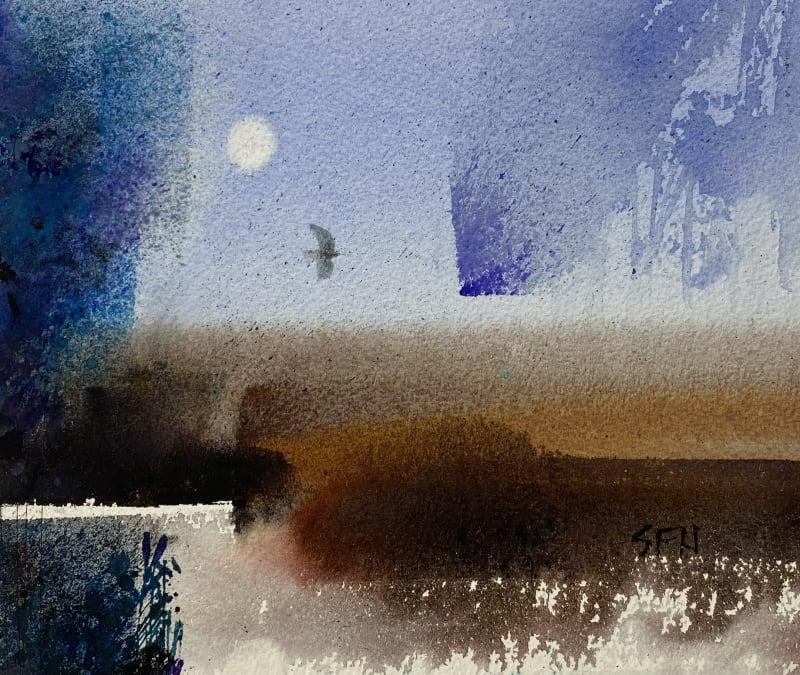 Moon frost