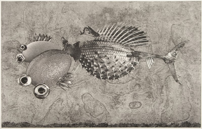 Invasive Aquatic Surveillance Bio Drone (Gentetically Enhanced).