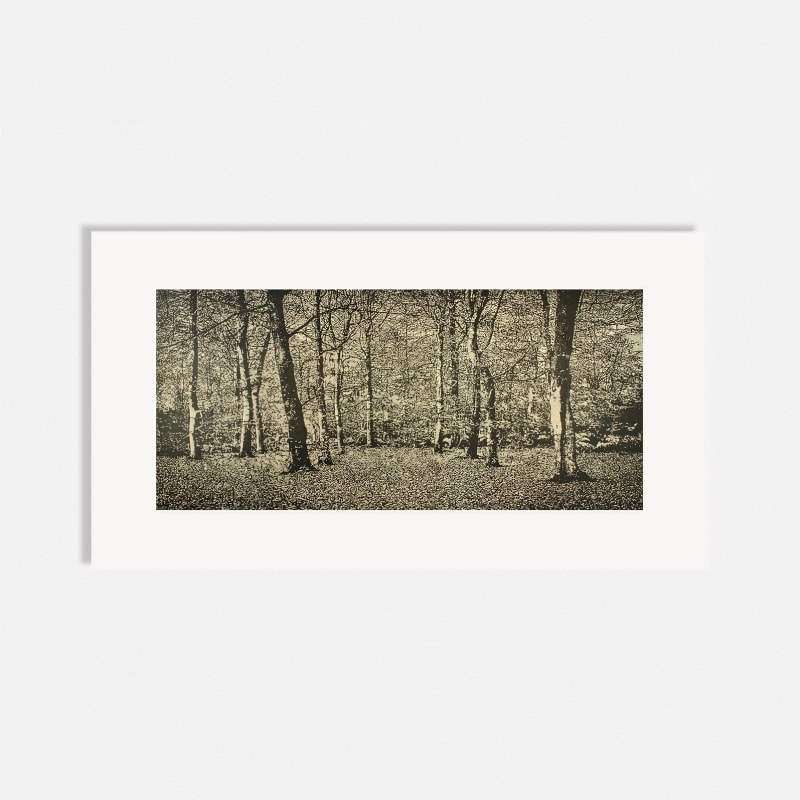 Trevor Price RE, Beechwood I