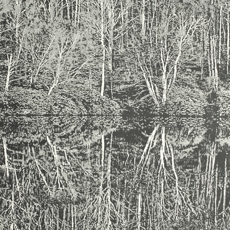 Reflections V