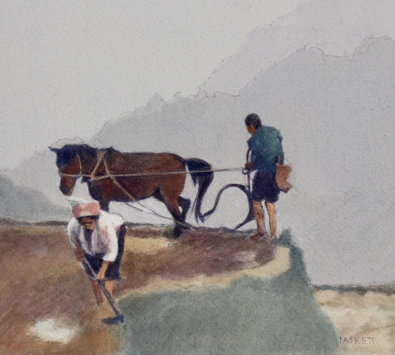 Tilling the Terraces, Guizhou.