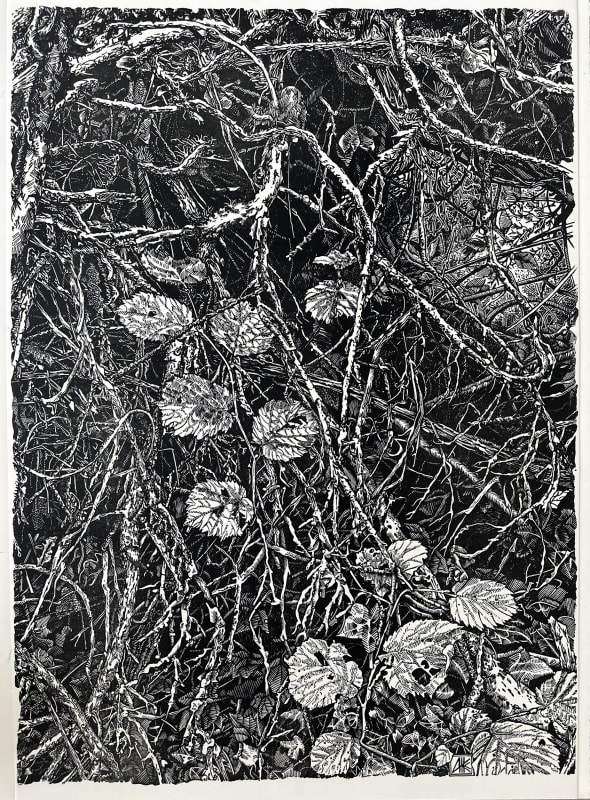 Roots