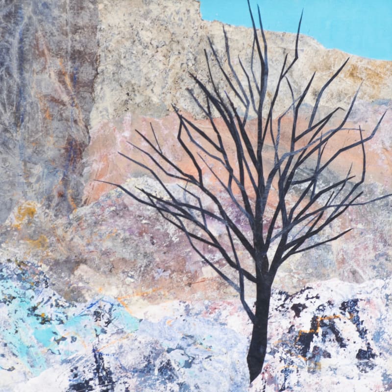 Canyon Tree