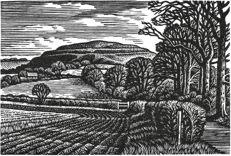 Hambledon Hill in Winter