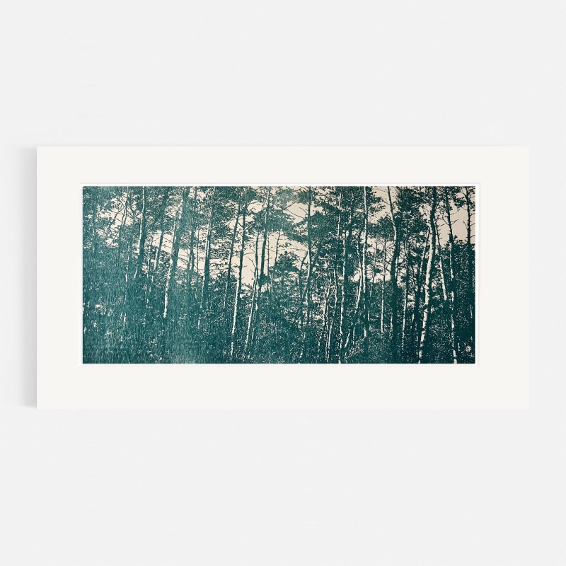 Trevor Price RE, Whispering Canopy