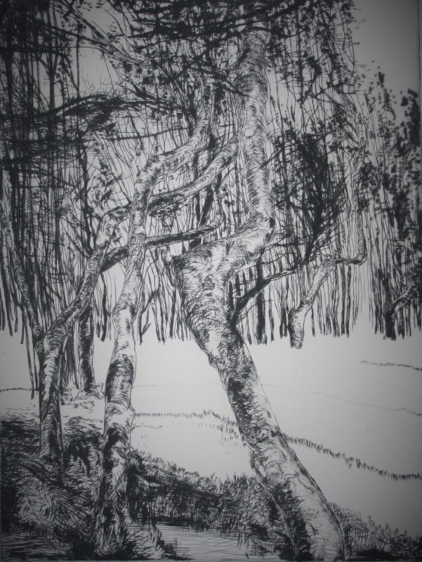 Thinking of Chanctonbury Ring, Sussex, while in Berkshire