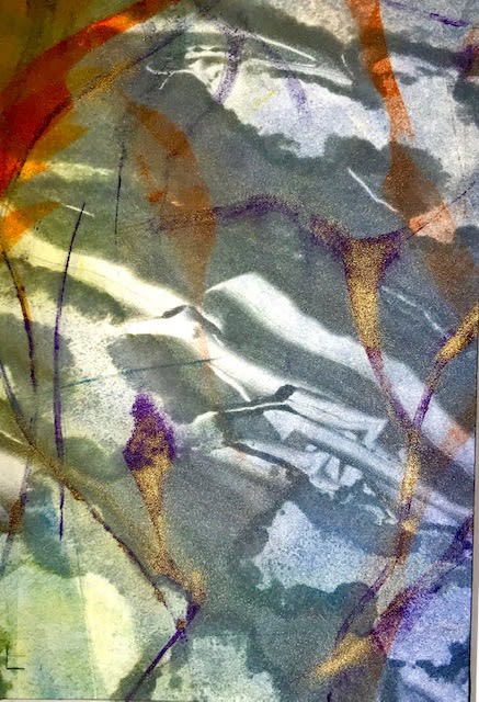 Reflections of Spring during Lockdown 2020 number 1