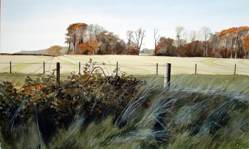 Roadside Brambles