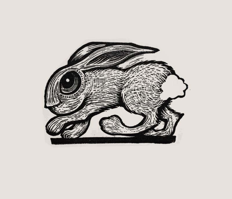 Rabbit