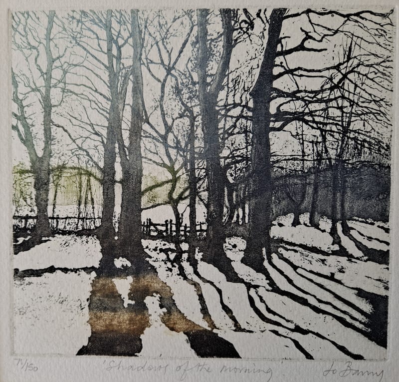 Shadows of the Morning