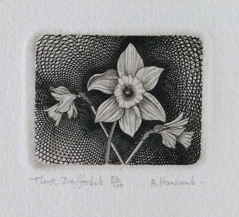 Three Daffodils