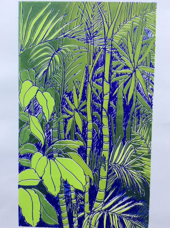 Rainforest: Morning