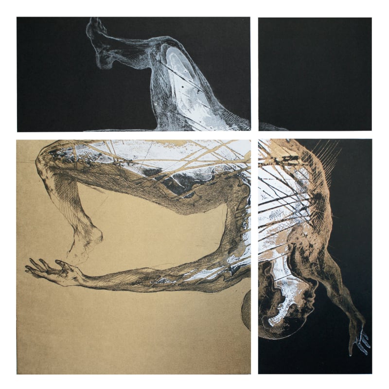 Insula Vitrea