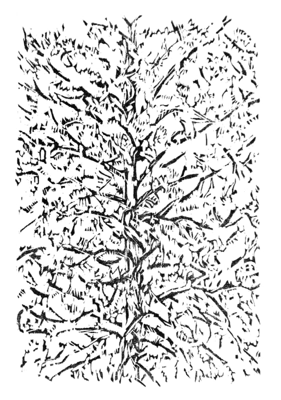 Window Tree