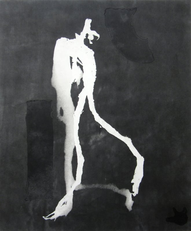 The Lunatic, the Lover and the Poet / are of Imagination all Compact III