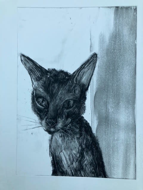 Cat Face