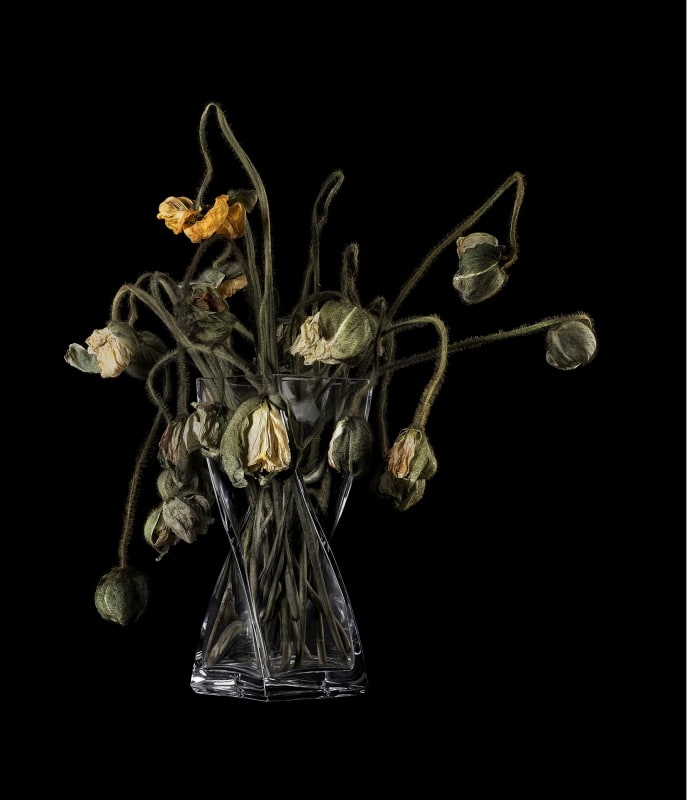 Vanitas VI