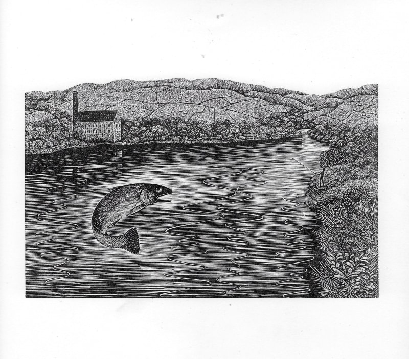 Leaping Trout
