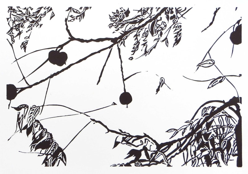 The Walnut Tree