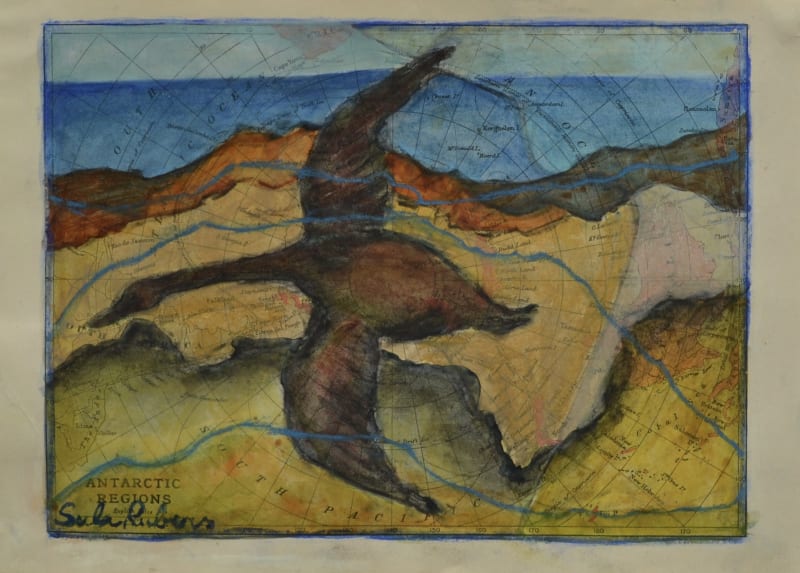 Shore Flight - Migration