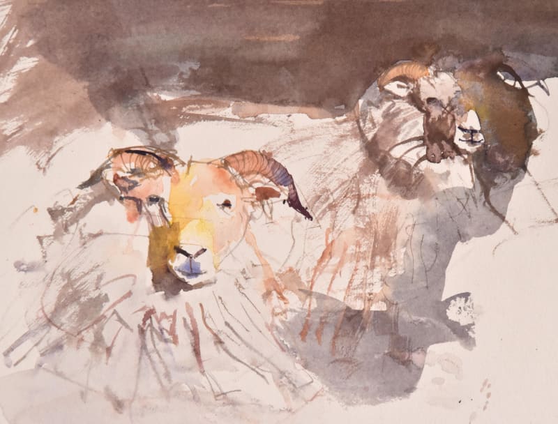Ewe Two