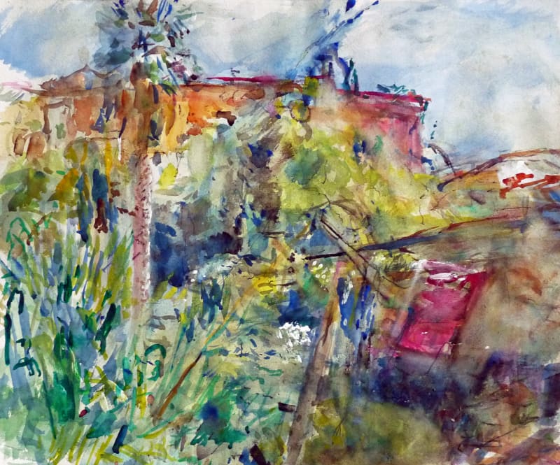 Anthony Clare's Garden