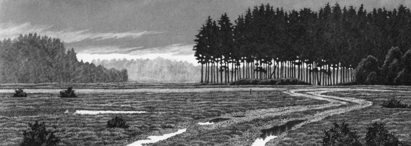 Turf Hill, New Forest