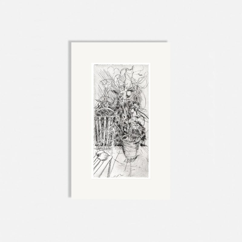 Ros Ford RE, Lemon Tree