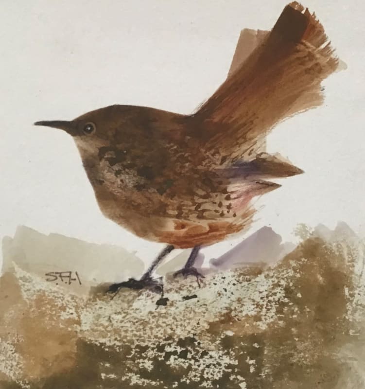 Uccellino