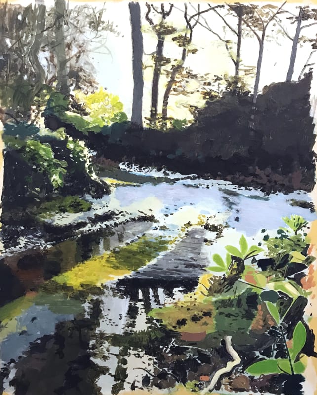 Drax Forest Dorset - Winter Study 2