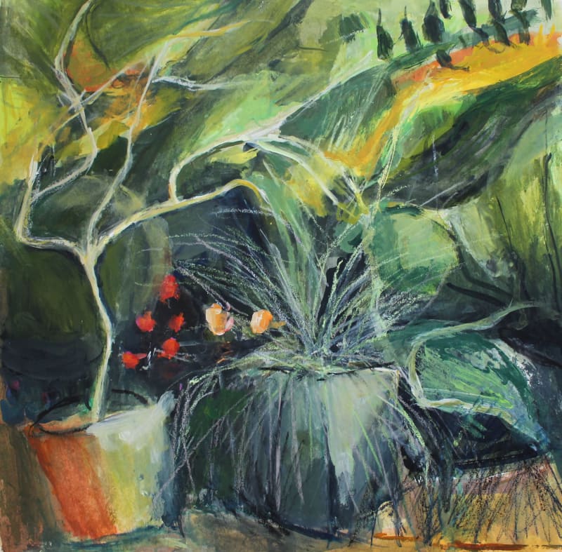 Poppies and Grasses 2023