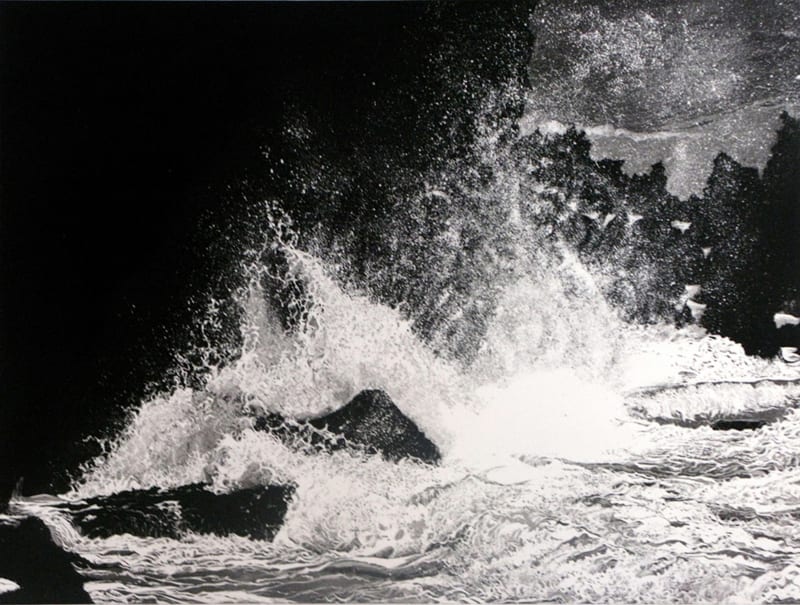 Next-the-Oceans VII