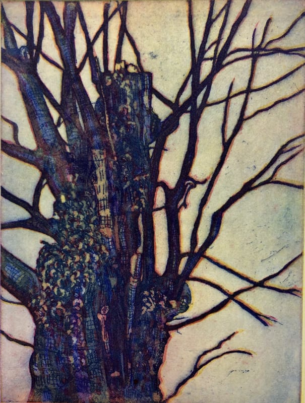 The Old Oak Tree