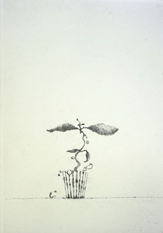 Maev´s Peculiar Plant
