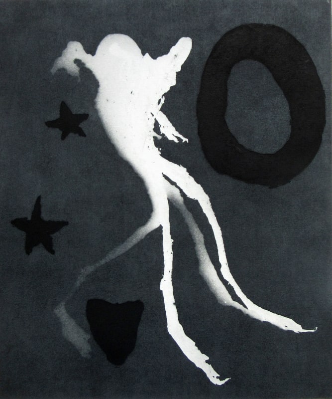 The Lunatic, the Lover and the Poet / are of Imagination all Compact I:1