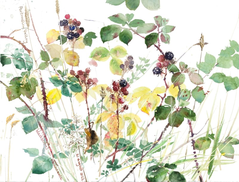 Blackberries