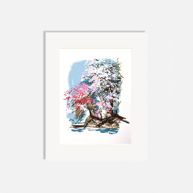 Denise Ballard-Wyllie ARE, Cherry Blossom Front: Fresh Spring Morning