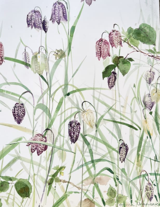 Fritillary and Brambles II